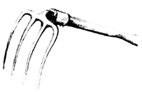 This clam hoe is the author's favorite.